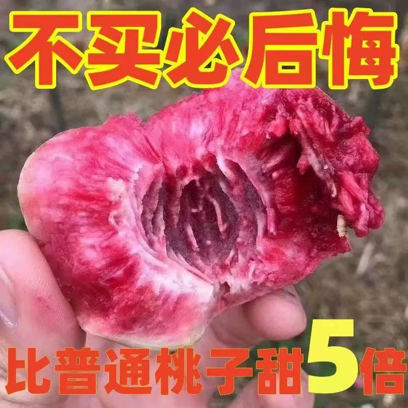 Свежие сезонные плоды персика 2.5kg свежесобранных красных персиков для беременных, целая коробка оптом.