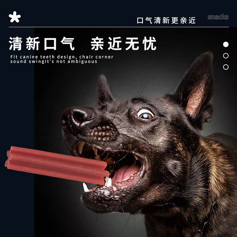 Perro palillo de molar, hueso de perro resistente a la mordida, perro pequeño y medio, suplemento de calcio, Teddy Corky, bocadillos de mascotas limpias.