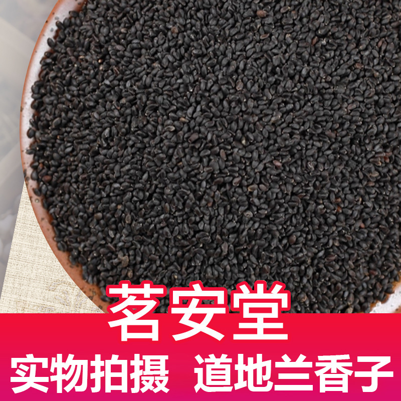 批发大货散装500g兰香子 兰香籽花果茶珍珠果兰香子罗勒籽明列子