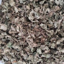 ������� ���~ɏ ��߅�� ��ǧ�� �����~ ����� 1000g�˰��]