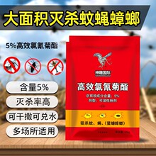 �nωș���nω�������ș�����Bֳ����ω������ωș5%����������l