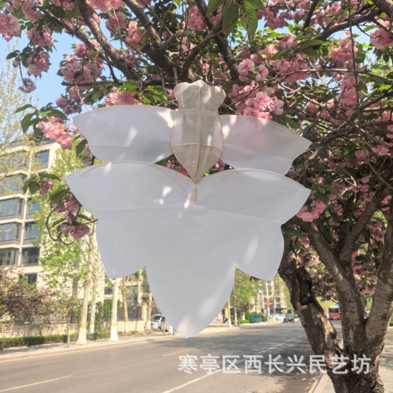 微信图片_20260415093838_363_25.jpg
