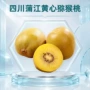 四川蒲江新鲜奇异果