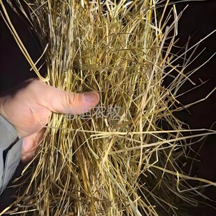 �²�������ޣ����ţ���R�������ɽ���ţ������������Bֳ��