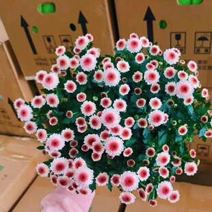 ���m�����ԾW�t�����~����ͥԺ�ļ��_������֮���ᭇС�r�Վ���