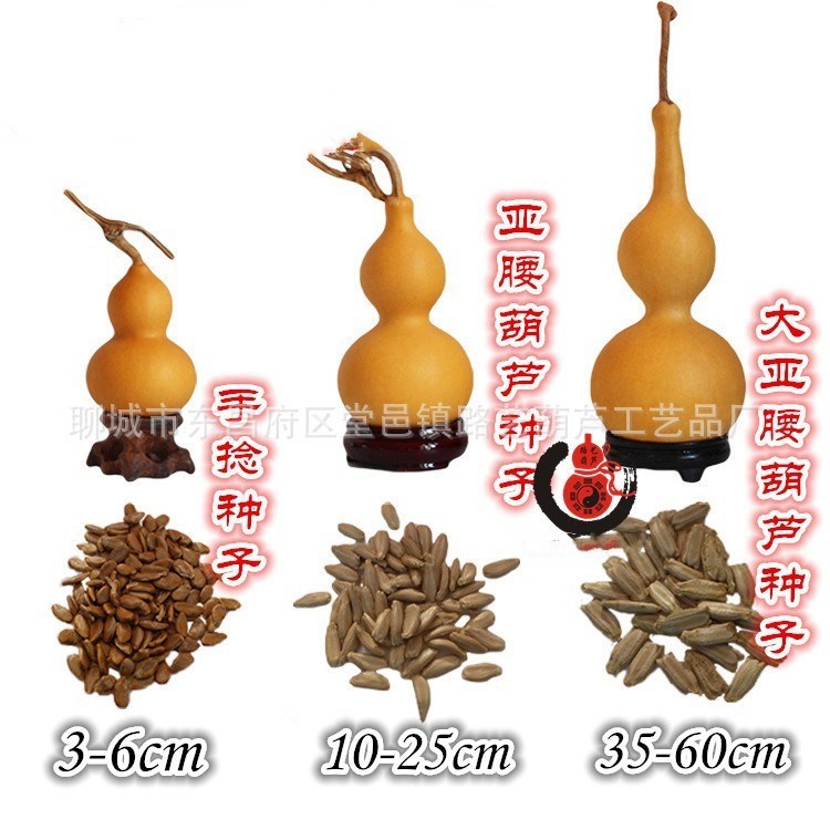 批发天然葫芦美国手捻小葫芦特大八宝蚂蚁葫芦中号亚腰葫芦种子