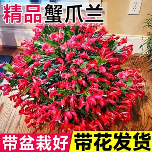 ������������зצ�m�������Կ͏d����Gֲ�Ϙ��҃��ļ��^����