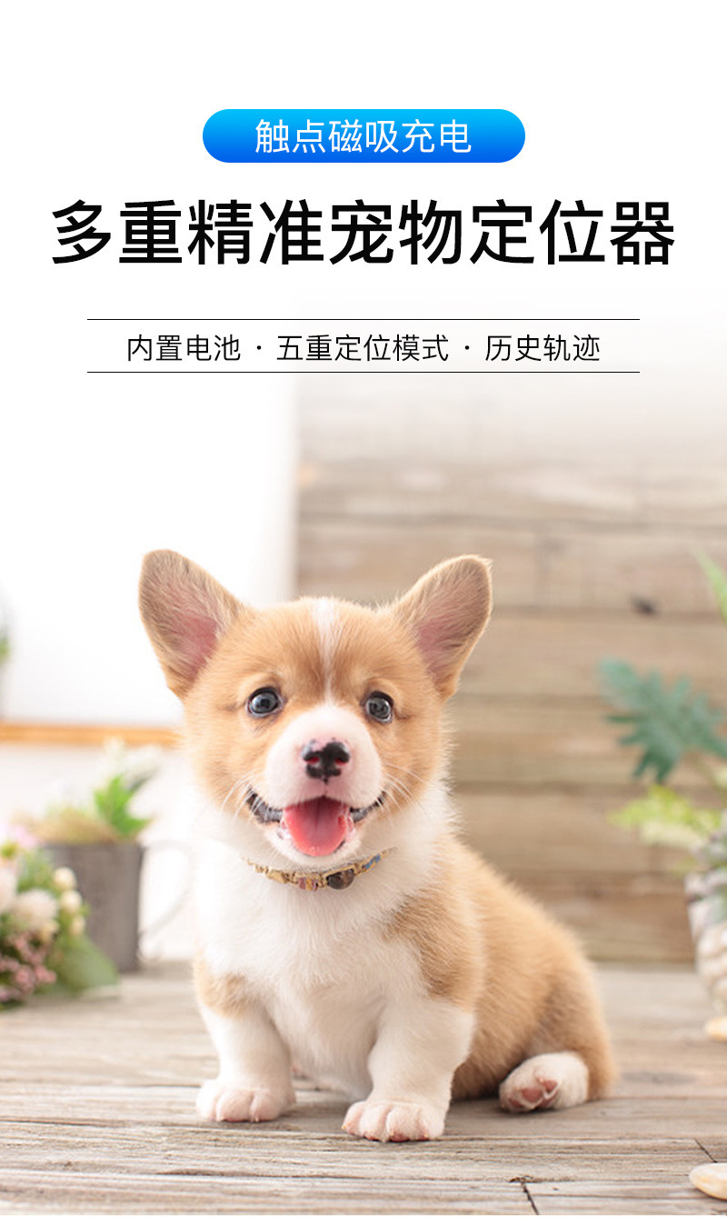 G12 Wearable Waterproof Pet Cat and Dog Gps Locator for the Elderly and Children Anti-Lost Smart Collar Alarm Tracker