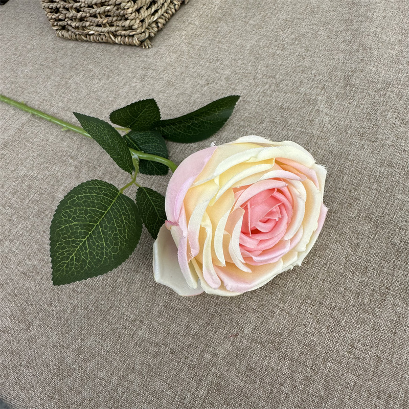 Single french rose gradient pink