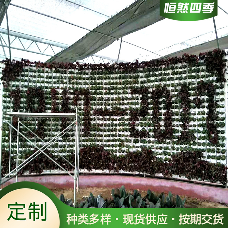 Equipo de cultivo sin suelo planta verde pared caja real planta vertical tridimensional pared verde planta de cultivo suelo pared