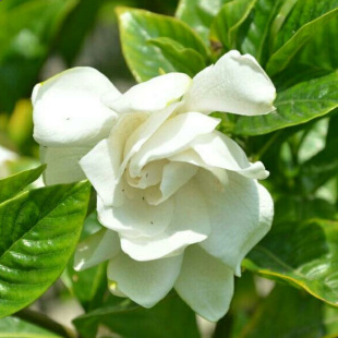 �d�ӻ� ���~�d�� С�~�d�� �е��G�� �S�� �t���^ľ ���ش�������