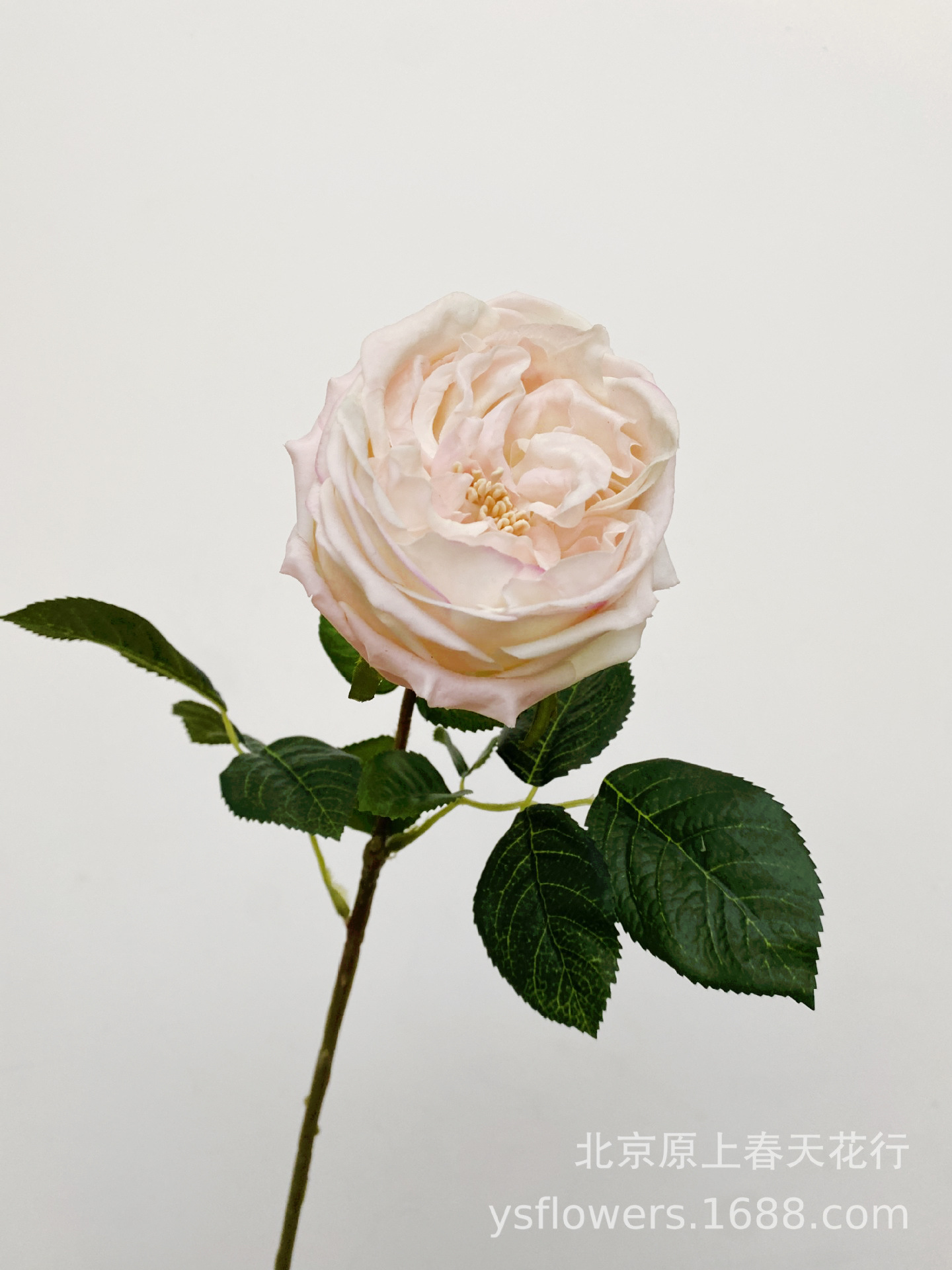 Siente artificial hidratante atin Rose Bud Core Rose temporada accesorios de tiro flor falsa planta decorativa flor falsa