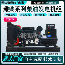 75kw�H����Ͱl늙C�M ���ͺ�75ǧ����ATS����ϵ�y���~�l늙C�M