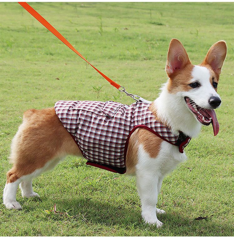 Wholesale Accessories Double-sided Plaid Pet Cotton Vest Pet Clothing Nihaojewelry display picture 2