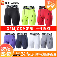 ���Q�����\�ӽ���ѝ��ѝ��־o���ߏ�����ٸ��ܲ��@��Ӗ������