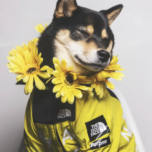 ��������_�h�·��L�����]��ů�������湷�����¹��������·�