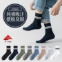 条纹秋冬无骨春秋长袜