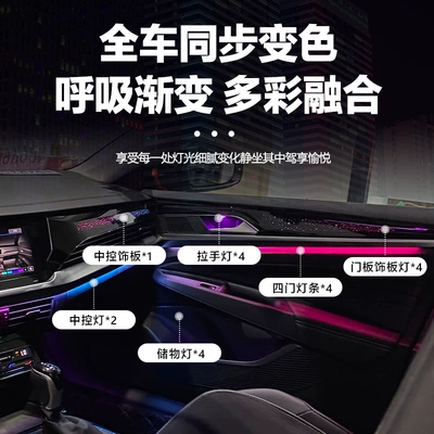 Volkswagen Passat 2019-2024 – Panel (Dashboard) işıqlandırması