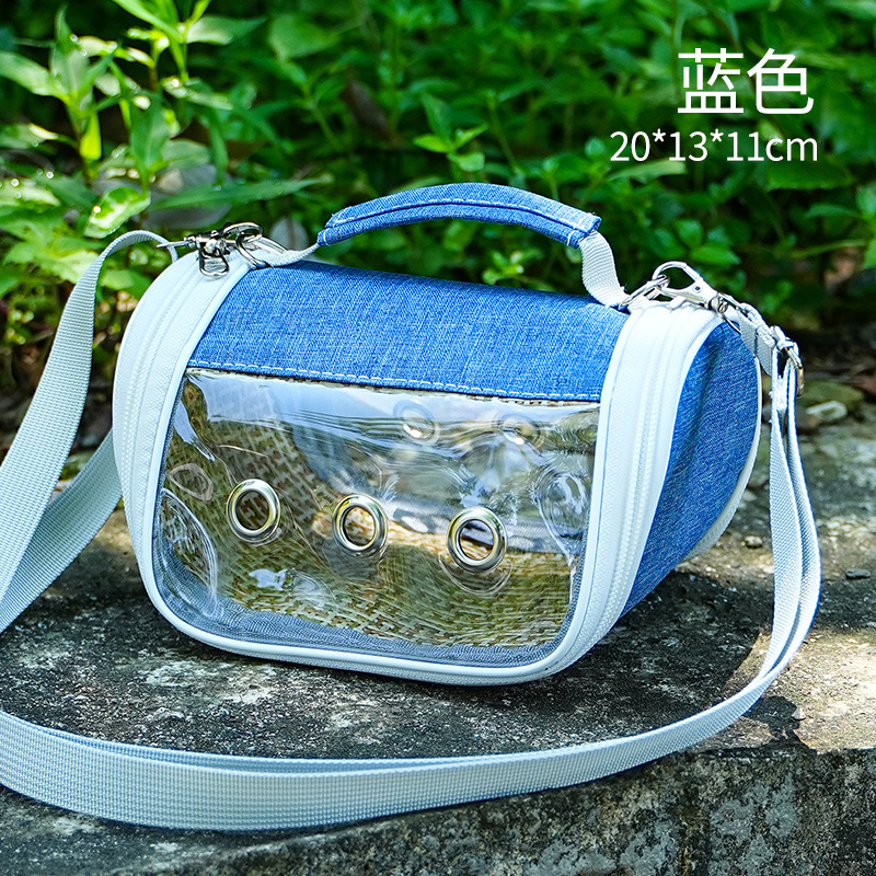 파란색 양면 투명