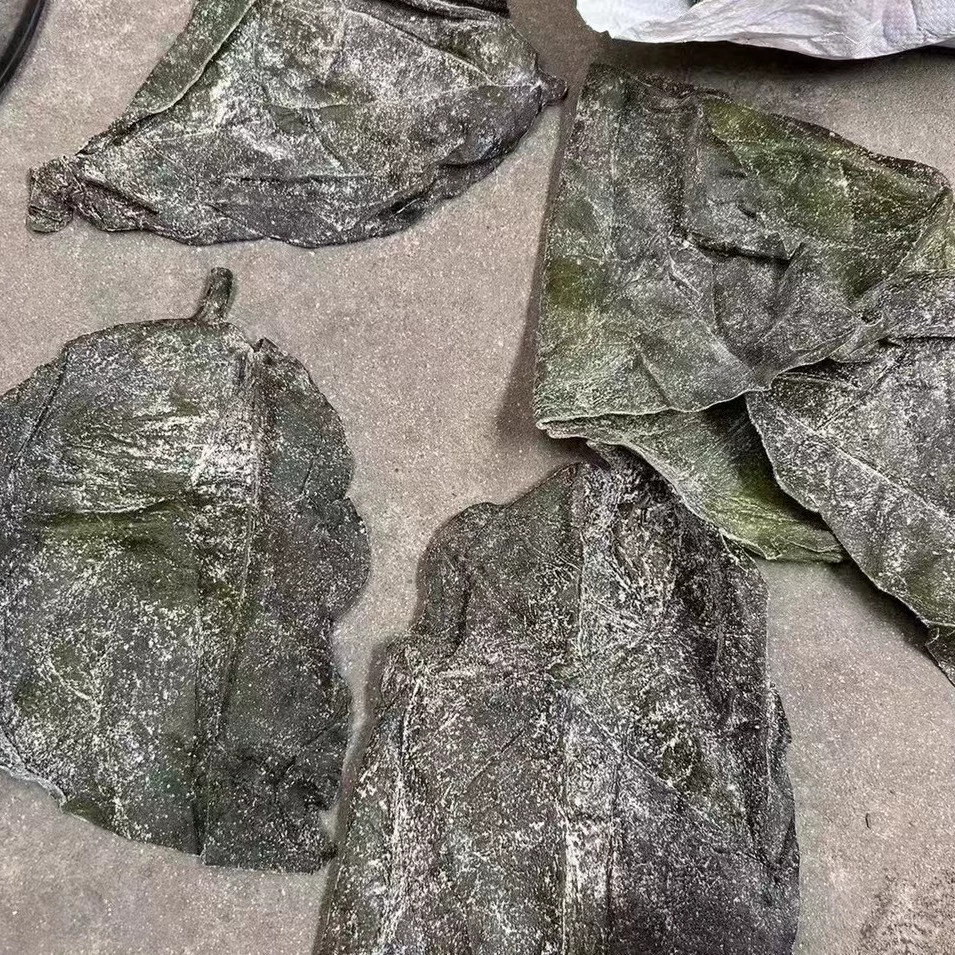 Соленое море берет на себя инициативу в полусухом море