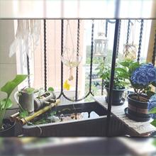 �R��ˮ���~�������L���λ����̨���˯ɏ�ɻ���ŷ��B�~�؞�����