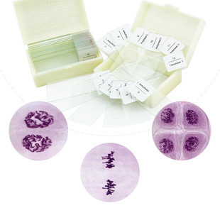 ����ĸ�����p���������[����ˮ���Q����ș12Ƭ���b����ֲ���z����