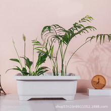 ����ʿ�S��ֱ���L�����躬�бP���ʽ���xPP���|����Ӵ��L�l����