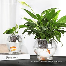 �մɾG�}ˮ���Ԅ���ˮ����A��͸����������������s�����]