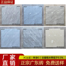 �㶫�ŵ�Ʒ��ש800x800����ͨ�����ʯ�ذ�ש����������ɫȫ��ש