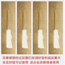 �͞����J�z���{�{�S��ֱ�N�{�{����{�{������ƬëƬ��Ʒճ��Ƭ�z