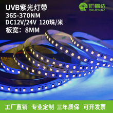 12V24V�͉�365NM�Ϲ�UV�� ��ī���͉T���zˮ�̻��T��2835ܛ���l