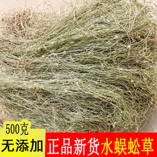 水蜈蚣草 寒气草 散寒草 一箭球 三荚草 金纽草 三箭草 三星草