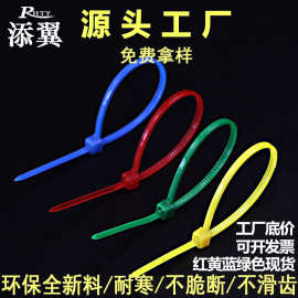 彩色扎带3*100*150*4*200*300*5捆绑扎线园艺红黄蓝绿色