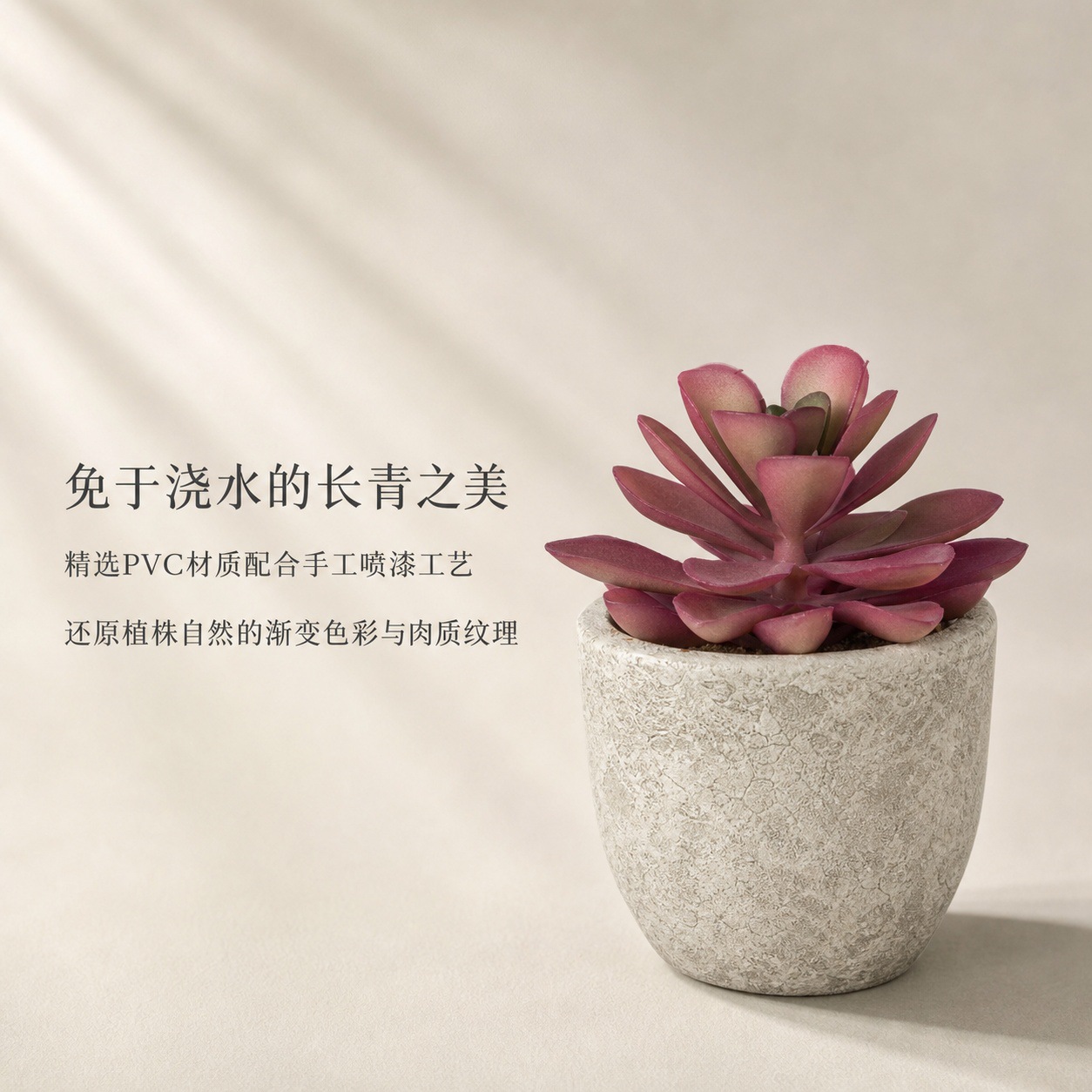 1302多肉详情页 (2).jpg