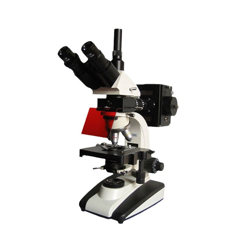 BM 20APY����UISӫ����΢��  �˰�ķ ����ӫ����΢��  BM 20AY