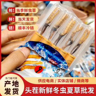 ���r�x�����l���r���x�Ĳݸߺ����r�x�ݮa��ֱ�l���aƷ�ͶY���l