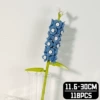 Delphinium F1