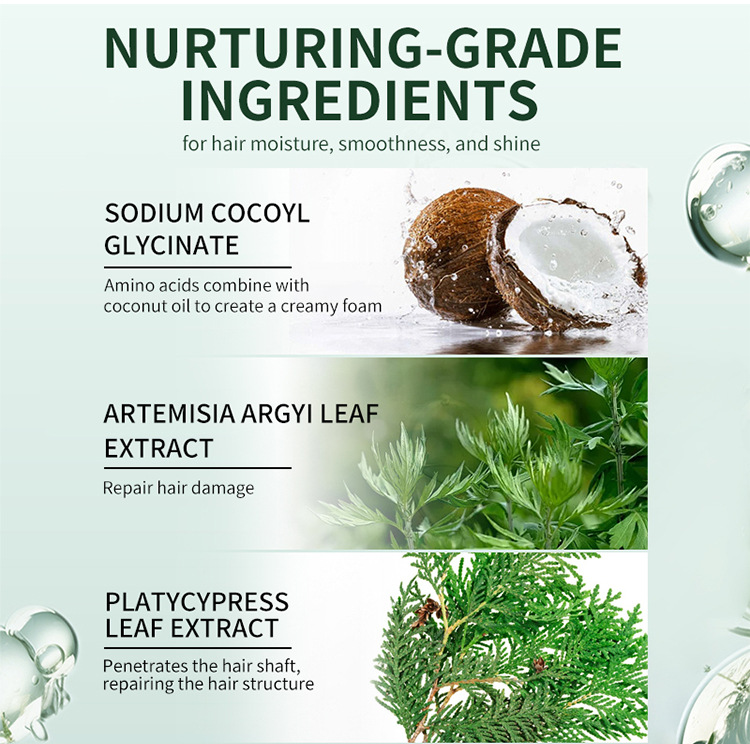 KOGEEYY Cross-border Exclusive Platycladus orientalis Leaf Oil-Control Shampoo, Plant-based Anti-dandruff and Anti-itch Shampoo 500ml Item Picture