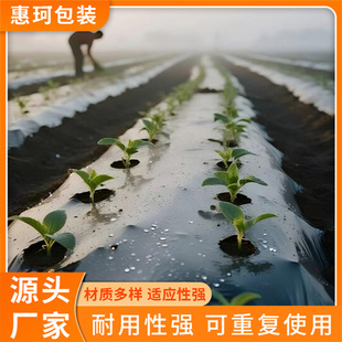 �y�ڵ�Ĥ�Ӻ���x�����Ĥ���ϴ��ﱡĤ���ƏS��