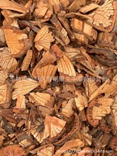 ��ș�ļt������ș�ļt�ٷ۴�Ѫ��Ѫͨ���N��ș�������؛��Ҫϵ