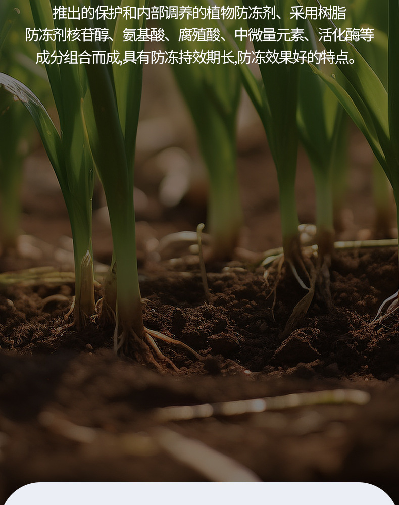 植物磁化防冻剂_06.jpg