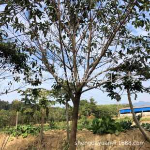 ����ȫ�ڴ��~�Ÿ�Ҏ�����l �S���Ńr�� ���~���е�����ع���