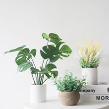 GֲԼٻ⻨С[ֲ͏db[Oٻ[