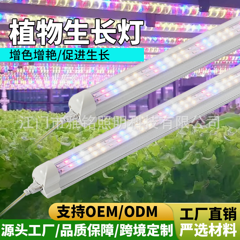 多肉上色防徒长UVA紫外线植物灯花卉食虫草增色仿太阳光谱补光灯