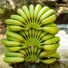 ����ֹ���G����ϸ�ɽ�Fժ���㽶���rˮ���㽶�Fժ�F�lһ�����l