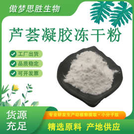 芦荟凝胶冻干粉100:1 200:1 库拉索芦荟粉 化妆品级 芦荟提取物