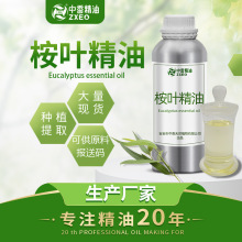 ��������S�����~���� �{���� �ȼ�������޹�������~�������~��