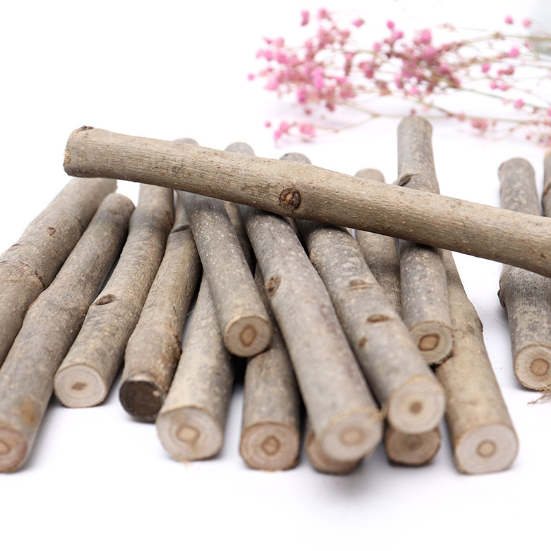 Cross-border Hot Mining Dried Branches, Branches, Pine Cone Decoration Kindergarten Children's Handmade DIY Trunk Wood Chip Dried Flower Log