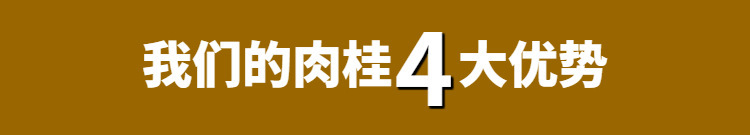 Chinese Cinnamon Bark Rou Gui 2500g Bulk Culinary Spice and TCM Herb specifications