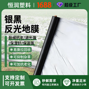 �S�Ҷ���ȫ���ϵ�Ĥ�N�ر�Ĥ�y�ڷ�����ݵ�Ĥ�ڹ�Ĥ���ϻ��y�ڵ�